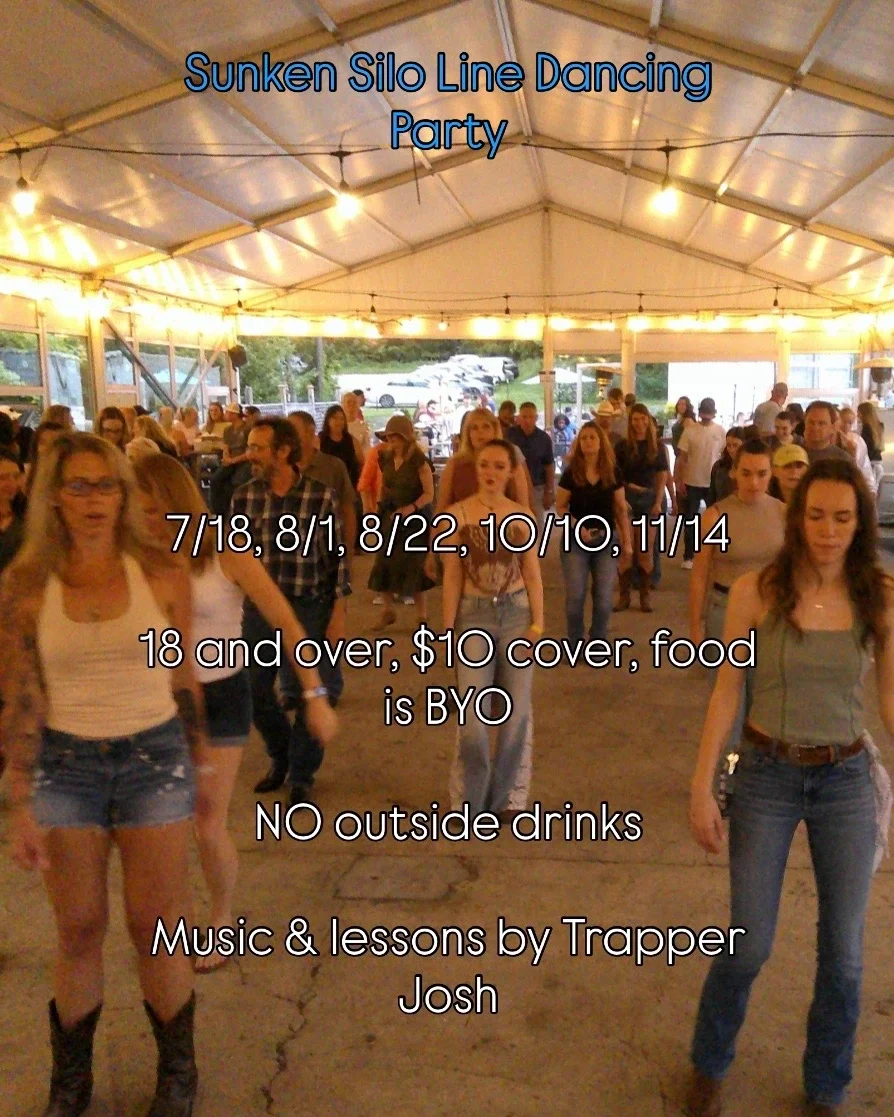 Line Dancing Party