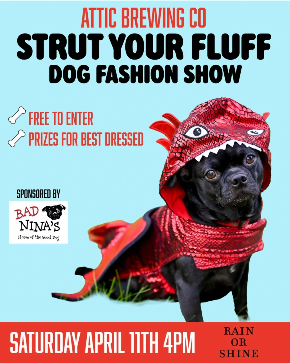 Dog Fashion Show