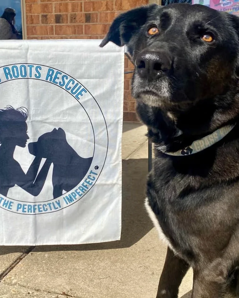 Yappy Hour with Grass Roots Rescue